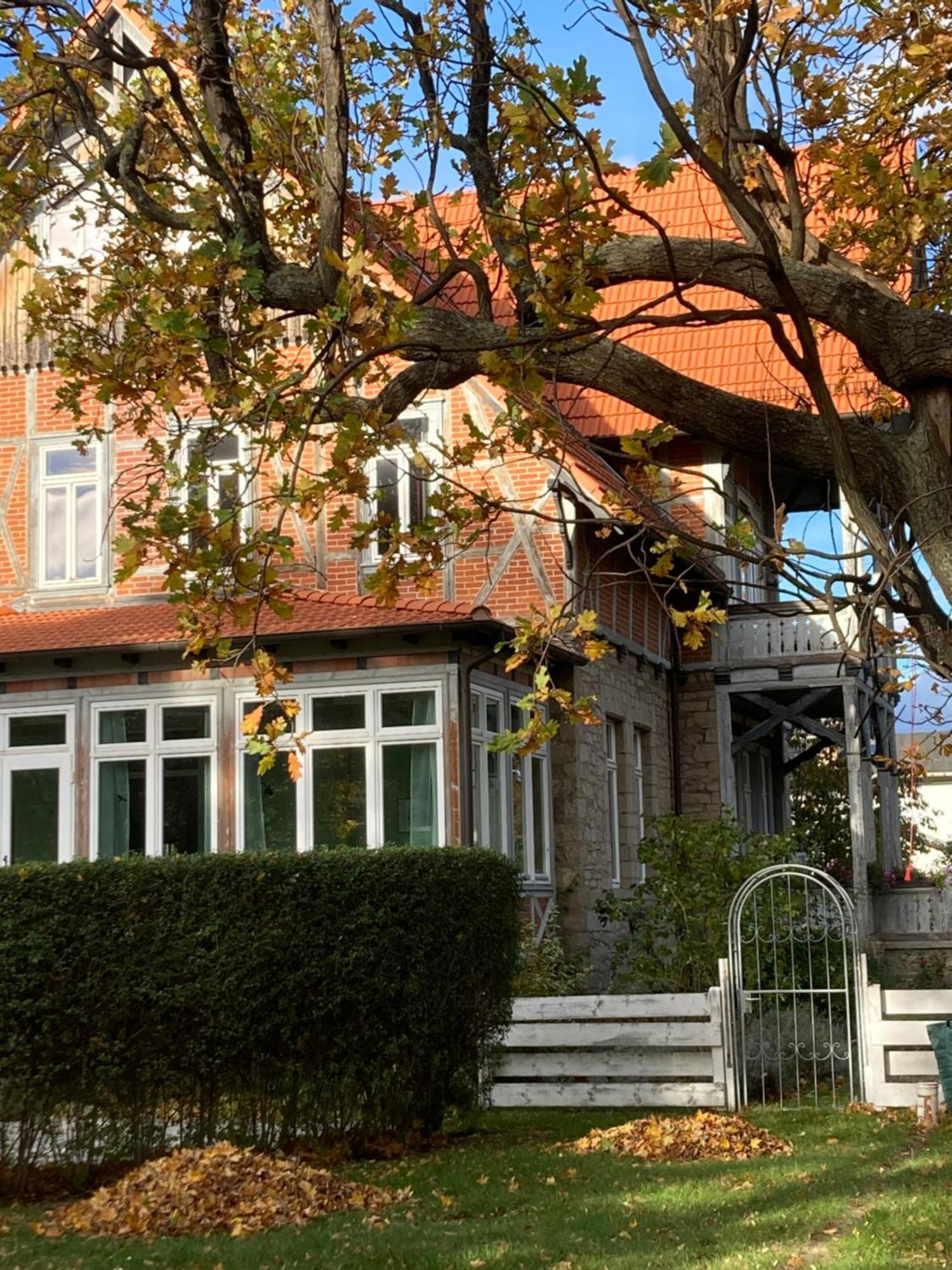 Gaestehaus Musestieg Thale Ngoại thất bức ảnh